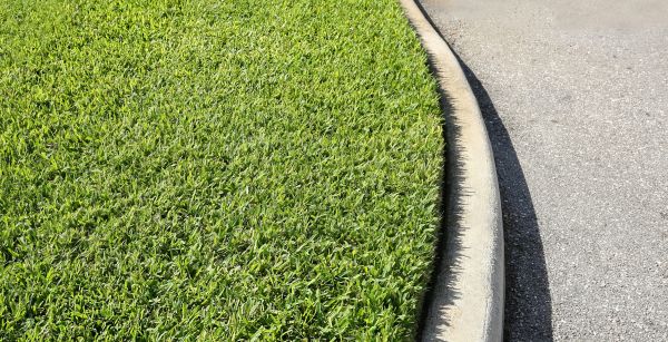 Cost of Street Curb Repair in Monument