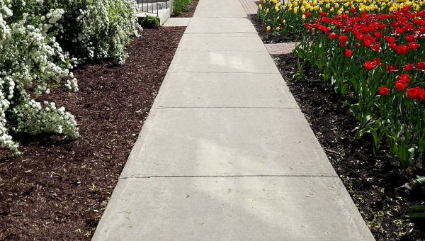 Concrete Pathway Repair in Monument